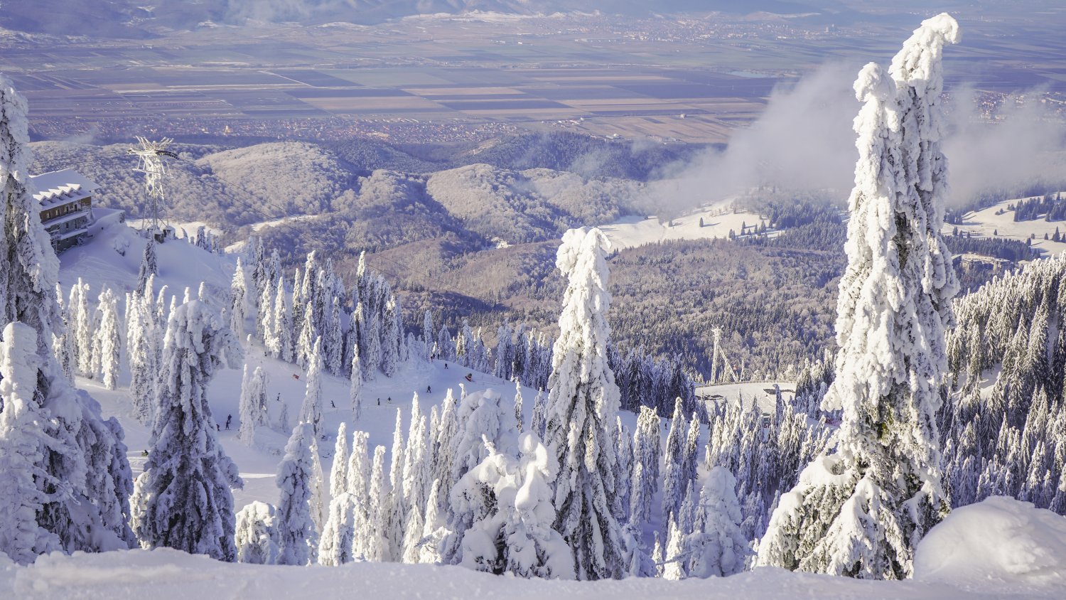 Pe schiuri în Vârful Postăvarul, la început de 2019 – GALERIE FOTO