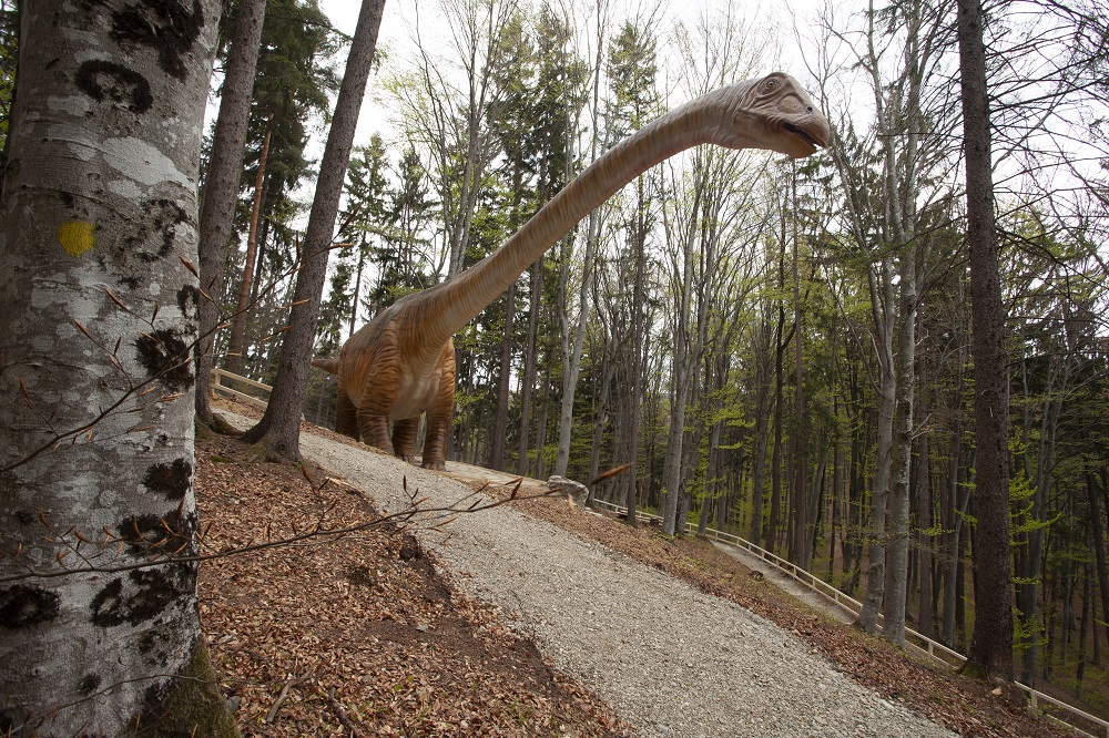 Dino Parc Râșnov și-a dublat suprafața și a reprodus cel mai mare dinozaur descoperit până acum în lume: Seismosaurus