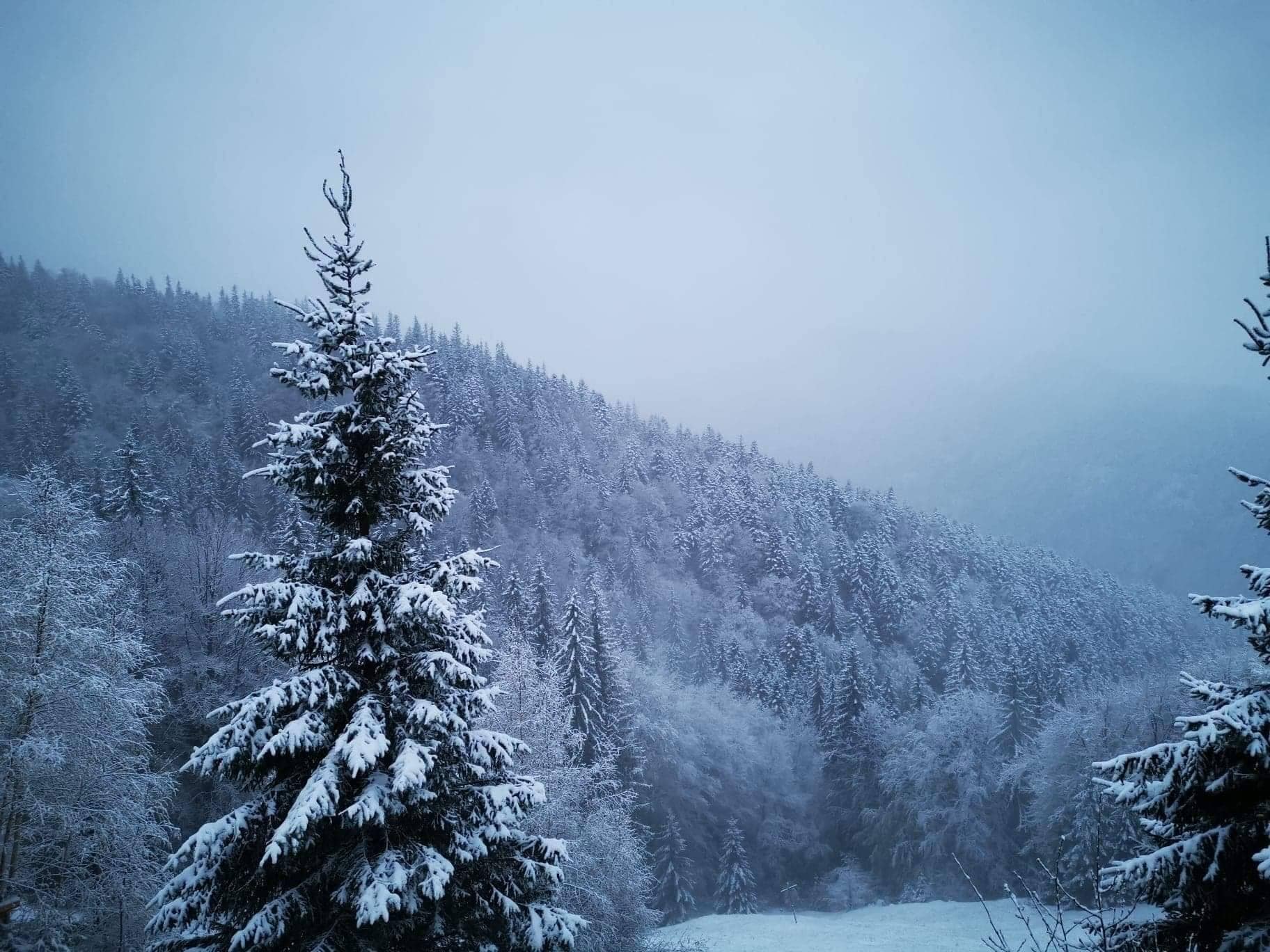 La Munte Este In Continuare Iarnă Foto Video Europa Fm