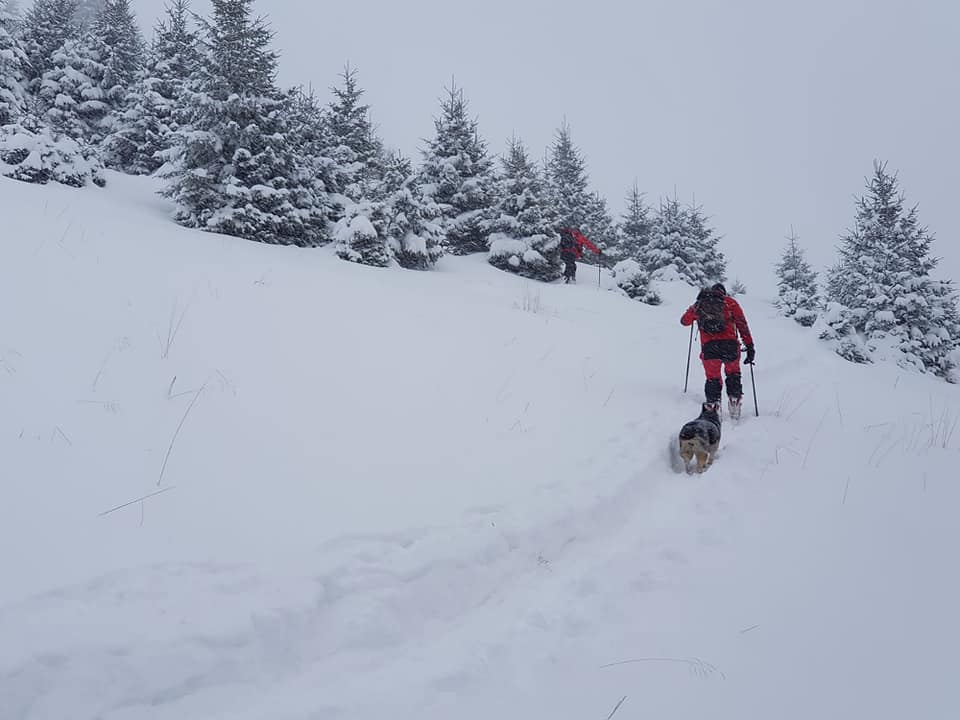 Turiști rătăciți, recuperați din Munții Ciucaș