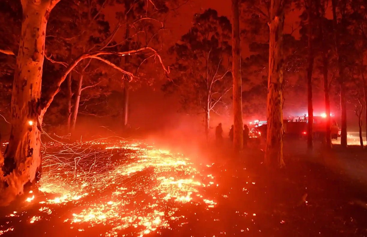 Bilanțul Incendiilor Din Australia Europa Fm