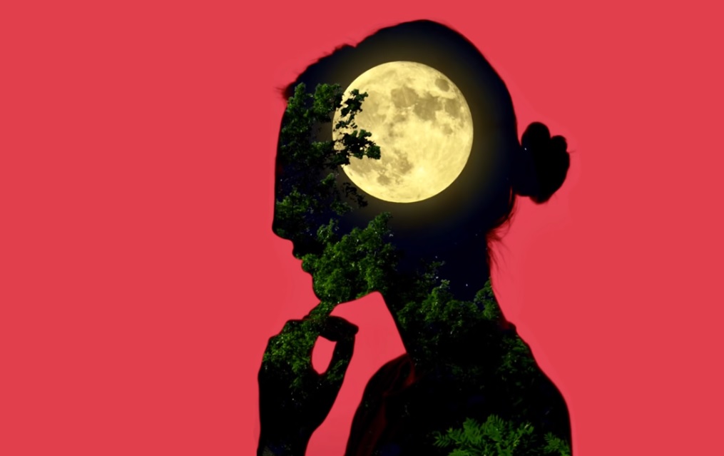 Ana Coman – Contratimp