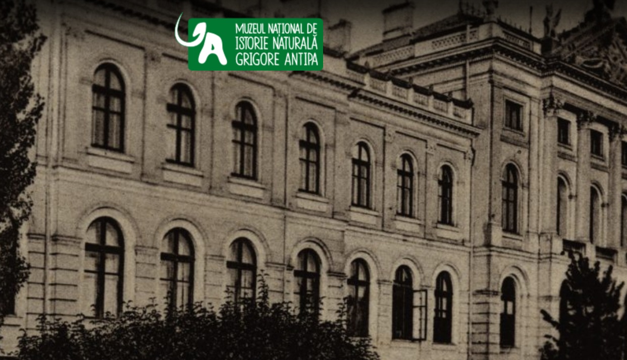 Muzeul Național de Etnografie și Istorie Naturală din Chișinău - fundu-moldovei.ro
