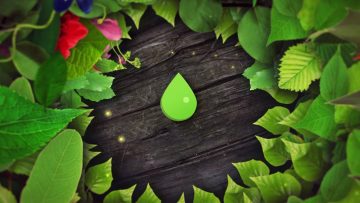 Ce este și cum ajută gemoterapia. Cum pot fi recunoscute remediile naturale cu adevărat eficiente – VIDEO (P)