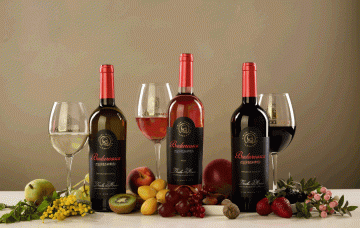 Contele Dracula vine la Europa FM pentru o degustare de vin legendară! Descoperă Budureasca – vinuri nobile românești