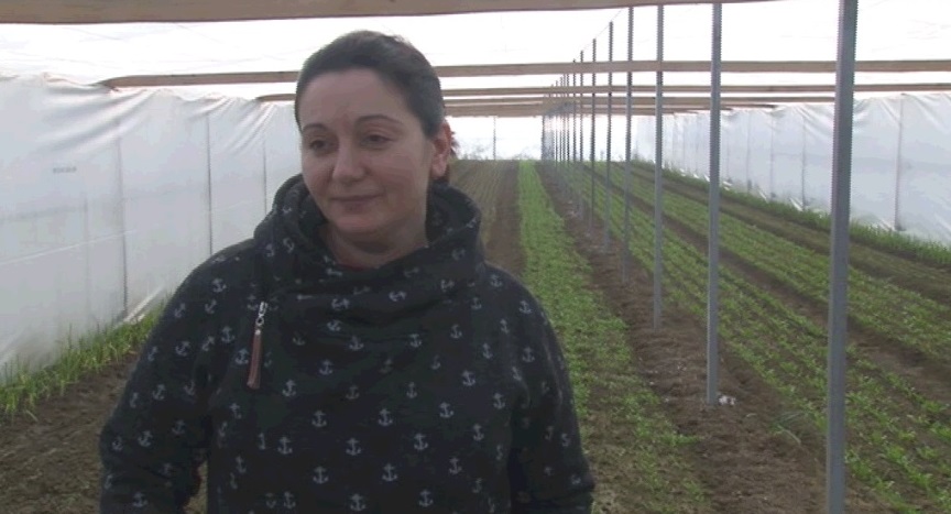 Legumicultoare in Biliesti, Vrancea