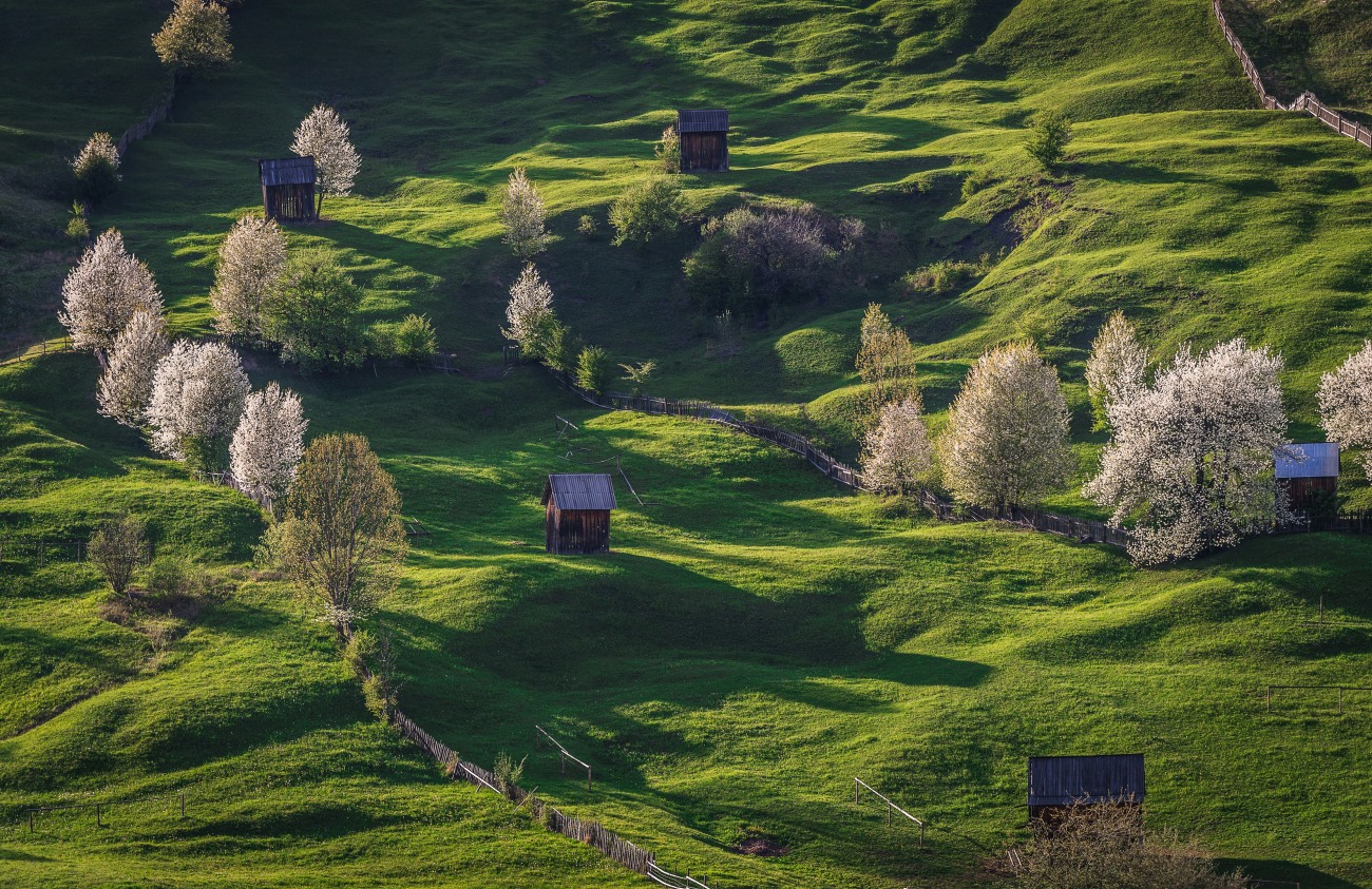Primăvară, Bucovina, peisaj 