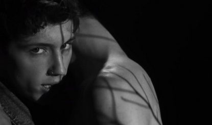 Troye Sivan • Heaven