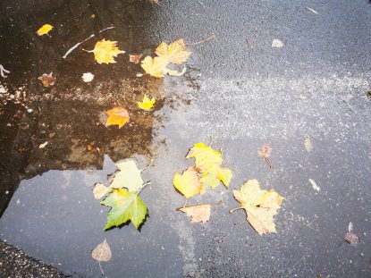 ANM: Răcire semnificativă a vremii şi ploi moderate în toată ţara, începând de duminică