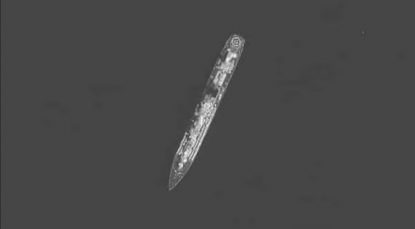 Crucişătorul Moskva s-a scufundat în Marea Neagră