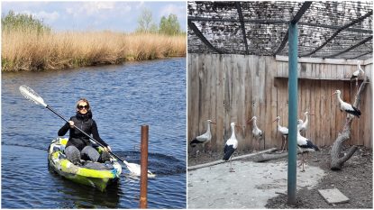 Activități de relaxare din Delta Dunării