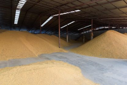 Ucraina acuză Rusia că a furat sute de mii de tone de cereale în timpul invaziei în țara vecină