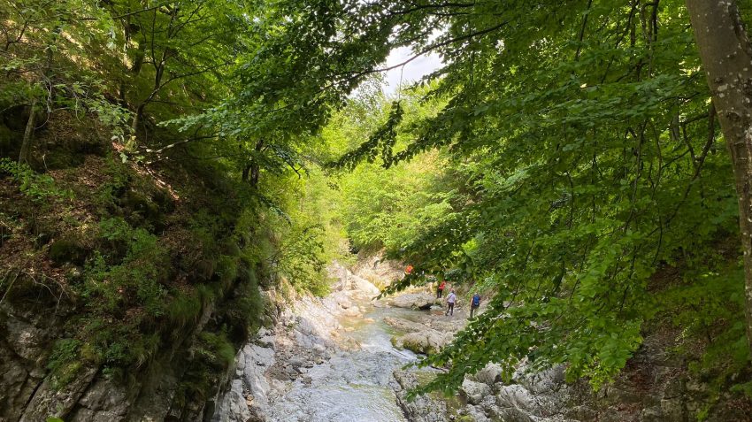 Cheile Râmețului, un spectacol al naturii | GALERIE FOTO : Europa FM