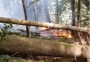 Incendiu pe munte, în zona Piatra Arsă din Bușteni