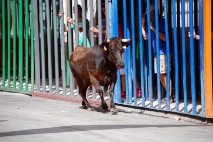 Taur la curse in Valencia
