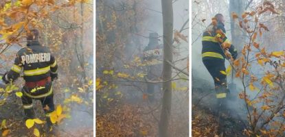 Incendiu de pădure în Vrancea. Flăcările au cuprins 50 de hectare de teren forestier | VIDEO