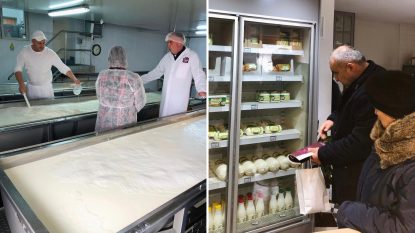 Criza laptelui ajunge la Guvern: Producătorii merg la Palatul Victoria să ceară subvenții mai mari | AUDIO