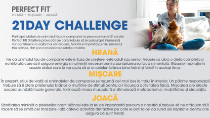 Oferă-i animalului tău de companie o viață perfectă, cu obiceiuri bune de la Perfect Fit™