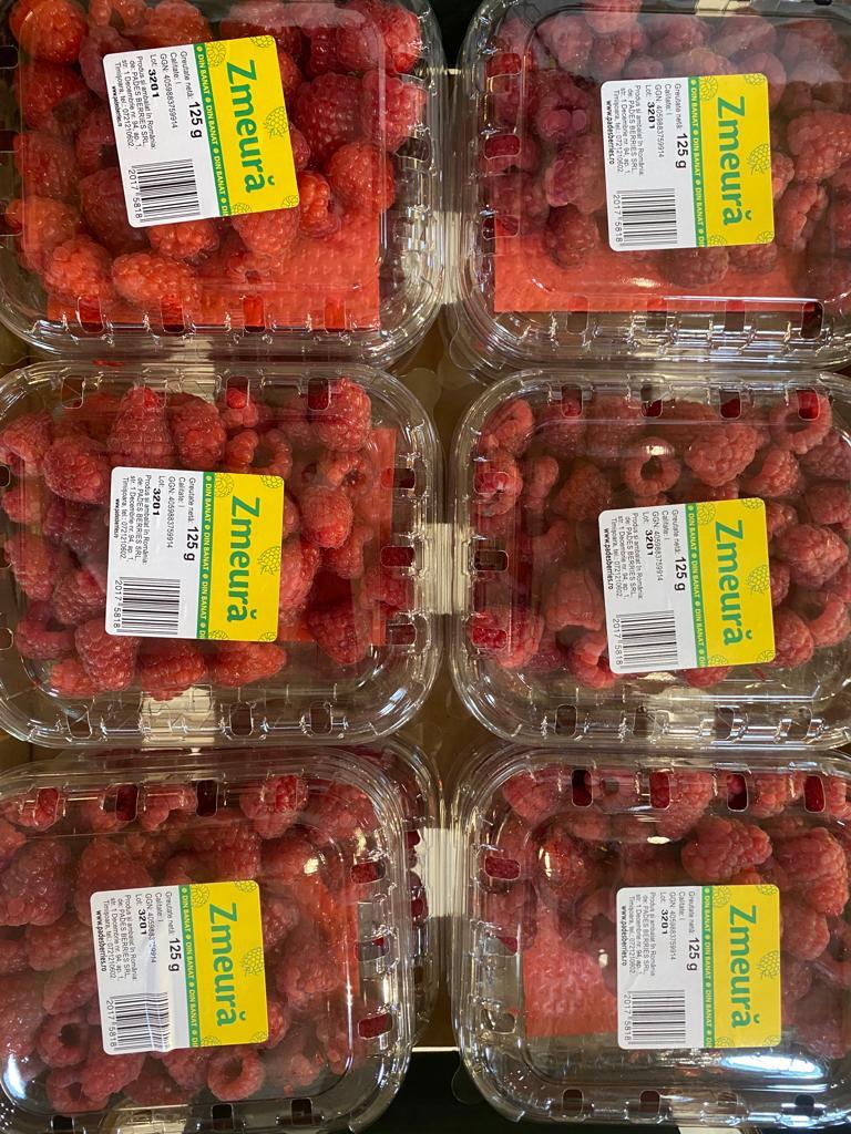 Producătorul Pades Berries Piața Lidl AUDIO Europa FM