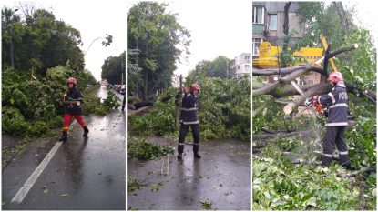Brăila: O furtună puternică a doborât zeci de copaci. A fost trimis mesaj RO-Alert | VIDEO
