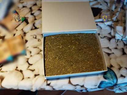 Aproape 7 kilograme de droguri au fost confiscate în Olt. Un tânăr a fost arestat preventiv