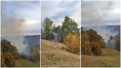 Incendiu pe 10 hectare în Dumitrești, Vrancea | VIDEO
