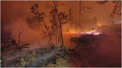 Chile: Peste 100 de persoane au murit în timpul incendiilor de vegetație. Președintele țării a anunţat două zile de doliu naţional | AUDIO