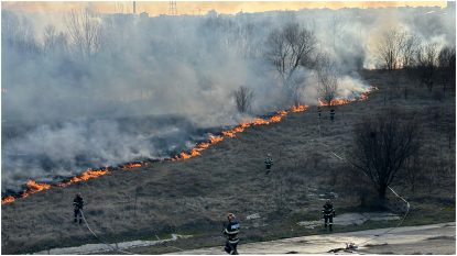 Incendiul din Delta Văcărești, stins | VIDEO