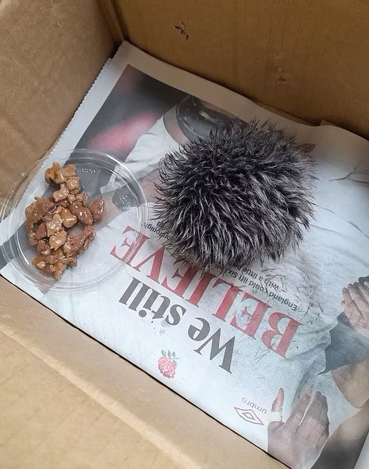 Синий экран смерти виндовс 7. Ошибка виндовс 7 синий экран. Синий экран смерти 1920 1080. Ошибка 0 60. Ошибка при запуске приложения 0xc0000142.