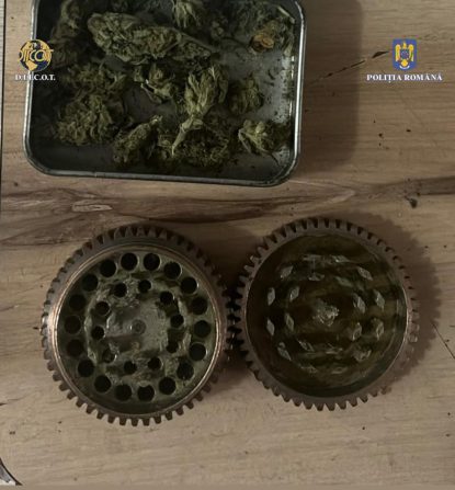 Dâmbovița: 4 persoane au fost reținute pentru trafic și consum de droguri de mare risc