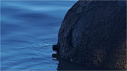 Mina marină găsită în apropierea localității Pătlăgeanca, ridicată de echipe ale MApN. Aceasta ar data din perioada Primului Război Mondial | VIDEO