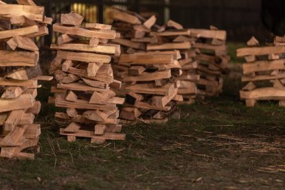 Lemnul pentru foc: Alegerea speciilor și impactul asupra confortului termic (P)