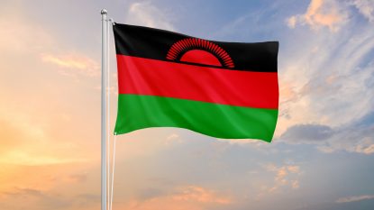 Vicepreședintele Malawi și alte 9 persoane au murit într-un accident de avion