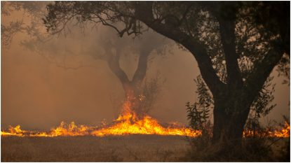 Grecia: Incendiile de vegetație afectează pentru a doua zi insula Kos. Sute de turiști și locuitori, evacuați din hoteluri în timpul nopții | AUDIO