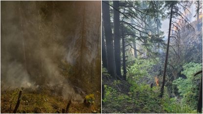 Incendiu de pădure în zona masivului Piatra Mare. Intervenție dificilă din cauza terenului. La fața locului a fost solicitat un elicopter | VIDEO