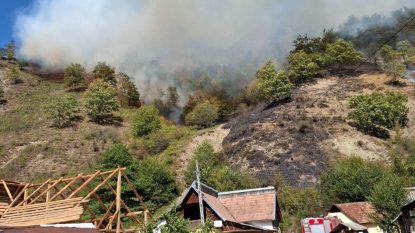 Incendiu de pădure în comuna Racovița, Vâlcea | GALERIE FOTO
