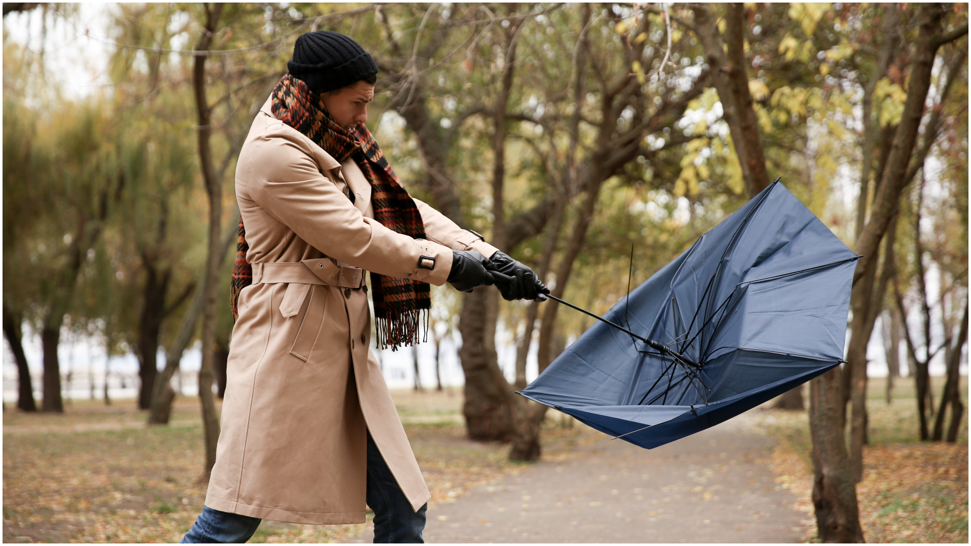 ANM: Avertizări Cod galben şi Cod portocaliu de intensificări ale vântului, până luni la ora 02.00