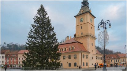 Cel mai înalt brad natural de Crăciun din România a fost amplasat în Piața Sfatului din Brașov | AUDIO | GALERIE FOTO