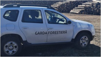 Ministerul Mediului caută inspectori șefi pentru cinci Gărzi Forestiere. Buzoianu anunță criteriile pe care trebuie să le îndeplinească candidații | AUDIO