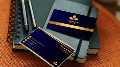 Radu Mihaiu acuză parlamentarii că și-ar fi luat cărți de vizită cu foiță de aur, de 310 lei. Reacția Camerei Deputaților | AUDIO