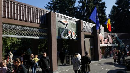 Incendiu la Grădina Zoologică din București. Nu sunt victime