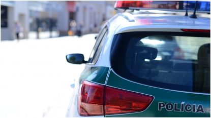 Bărbatul care a tras anul trecut în premierul Slovaciei, condamnat la 21 de ani de închisoare | AUDIO