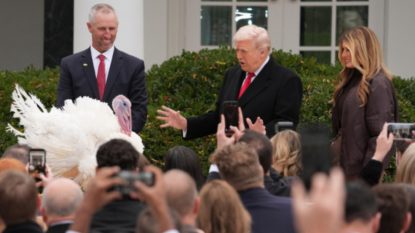 Doi curcani au fost grațiați de Donald Trump de Ziua Recunoștinței. Tradiția oficială a început în 1989, când președinte era George Bush Senior | AUDIO