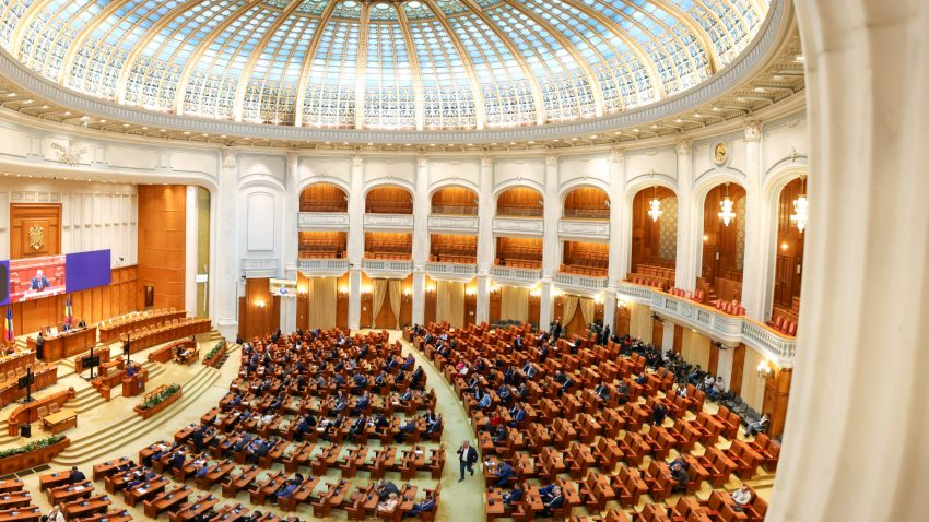 Senatul a votat noua conducere a ICR. Corina-Raluca Încrosnatu, președinte | AUDIO