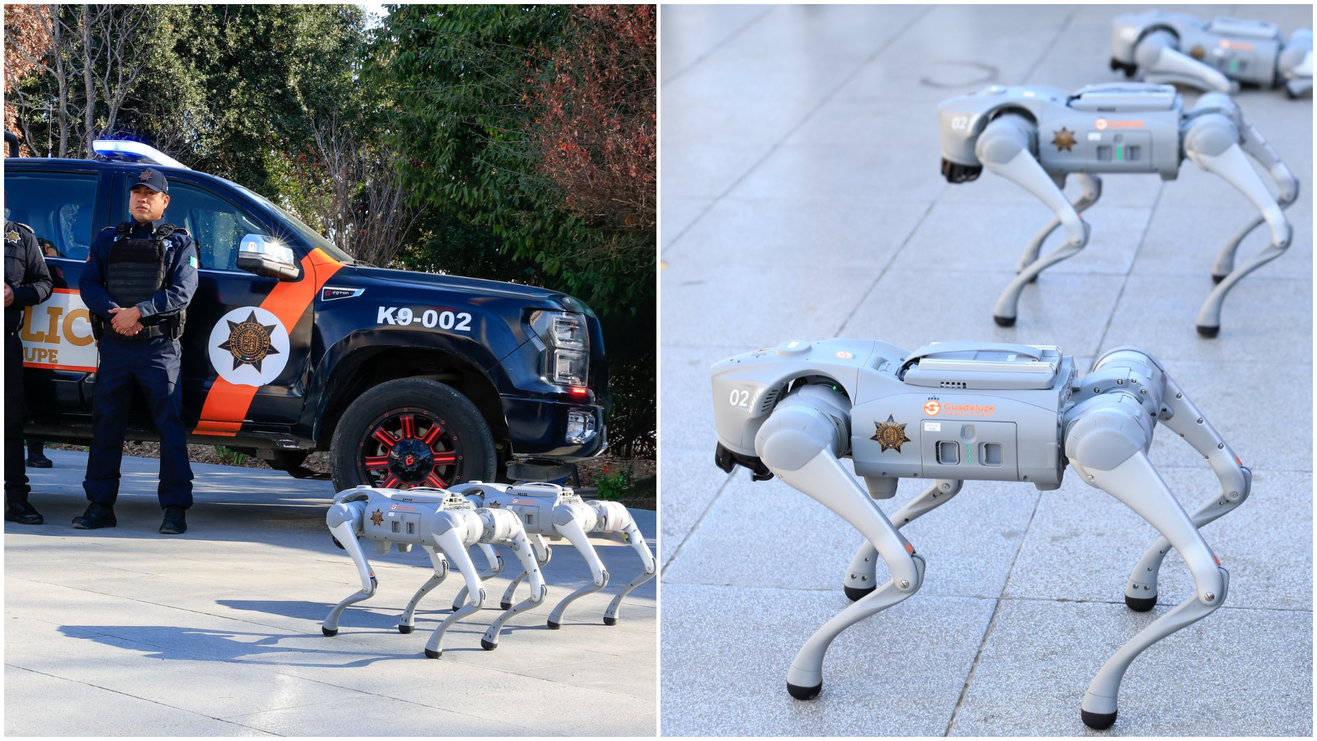 Pregătiri pentru CM de Fotbal 2026. Patru câini roboți vor ajuta poliția mexicană în timpul unor intervenții, pentru a le „proteja integritatea fizică” | AUDIO