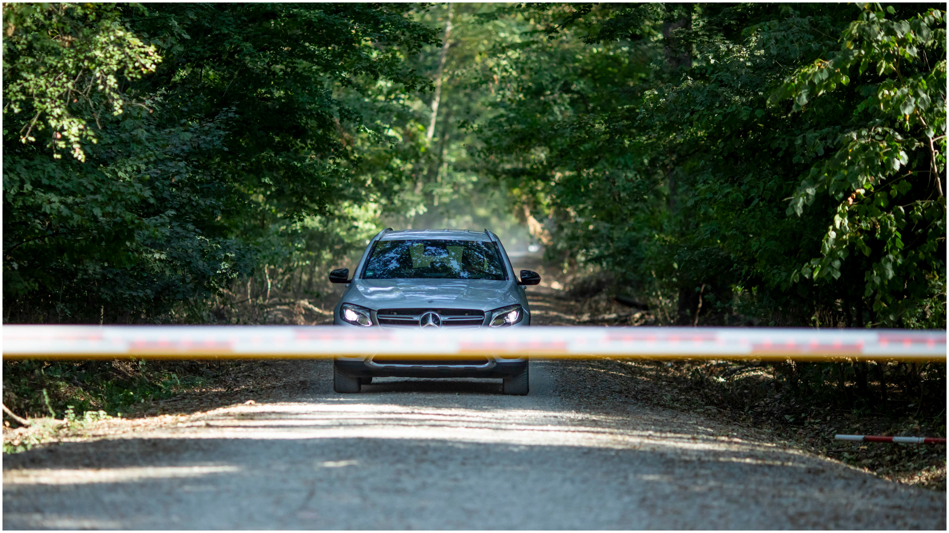 Un segment de drum din pădurea Băneasa, folosit pentru accesul auto în cartierul Greenfield, a fost introdus ilegal de Romsilva în amenajamentul silvic, constată Ministerul Mediului. Ce spune Regia Pădurilor | AUDIO