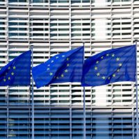 parlamentul european Fb Blocul Național Sindical