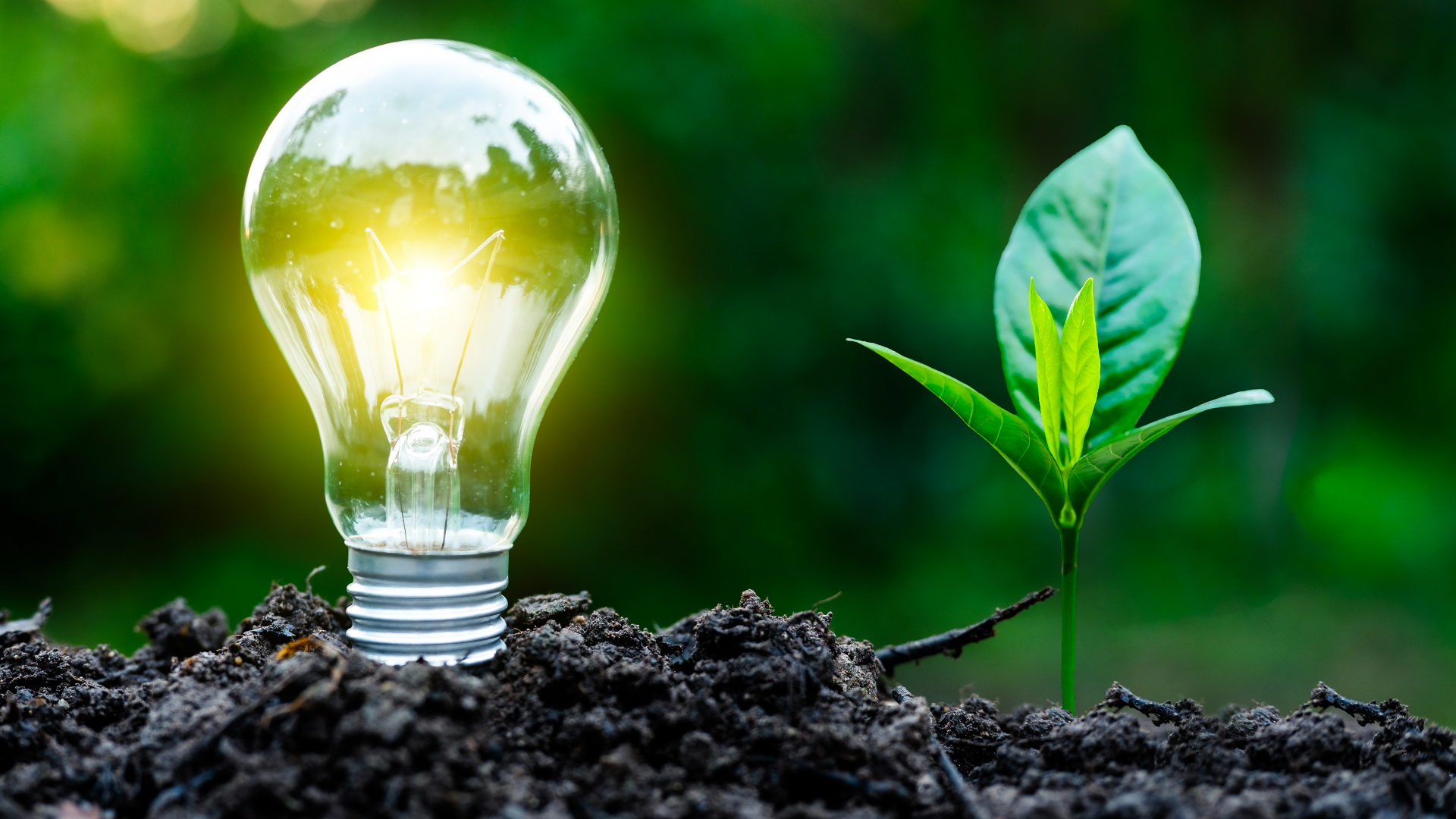 Războiul din Iran ar trebui să impulsioneze eforturile Europei în tranziția către energie regenerabilă, spun experții în energie