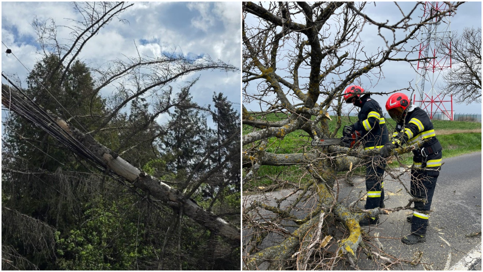 Vântul puternic a făcut ieri ravagii în 18 județe. Un deces și mai multe persoane rănite din cauza copacilor doborâți și a acoperișurilor smulse | AUDIO