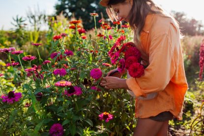 6 activități utile pentru curte, terasă sau balcon pe care le poți face chiar de azi (P)
